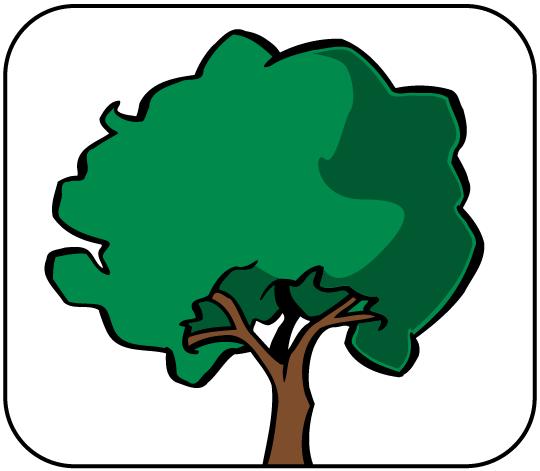 BAUM DER